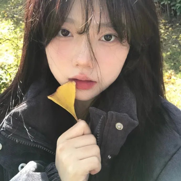 铁耙